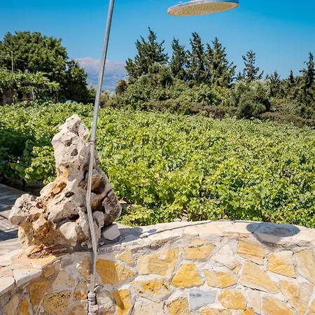 别墅 Konstantinos Hilltop Vineyard Escape