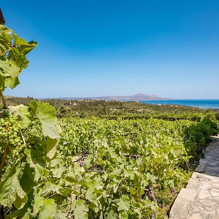 别墅 Konstantinos Hilltop Vineyard Escape *