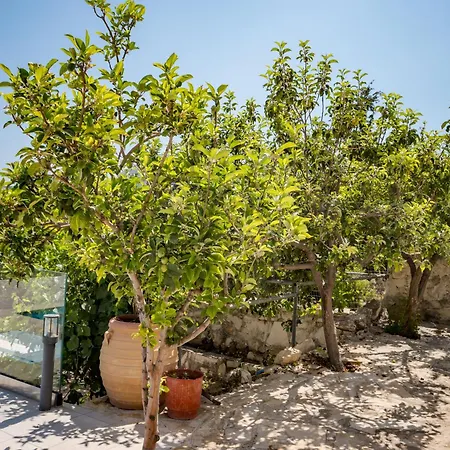 Konstantinos Hilltop Vineyard Escape 别墅